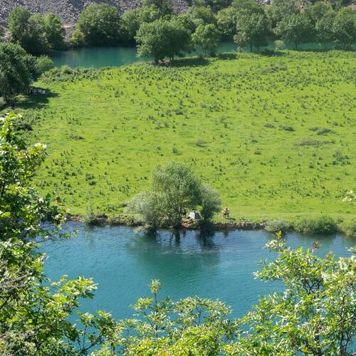 Photo #13433136