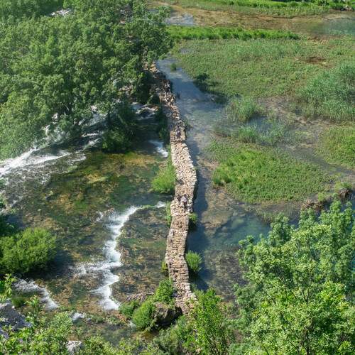 Photo #13433137