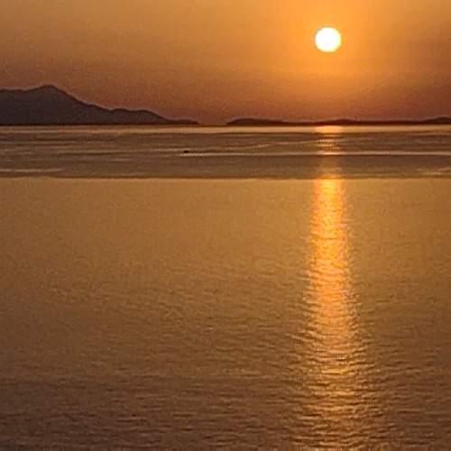 Photo #13433229