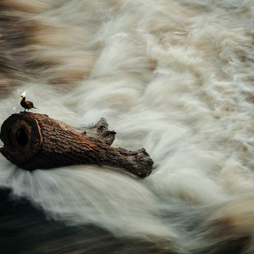 Photo #13433323