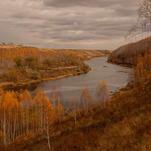 Photo #13433355