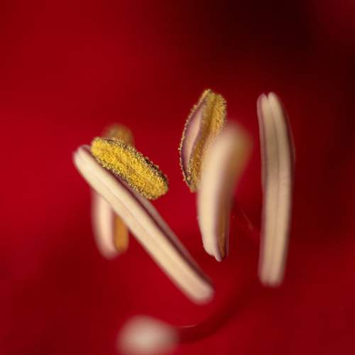 Photo #13433372