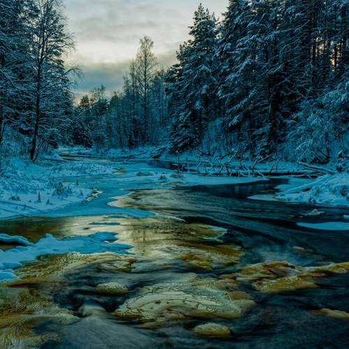 Photo #13433380