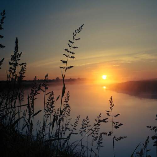 Photo #13433385