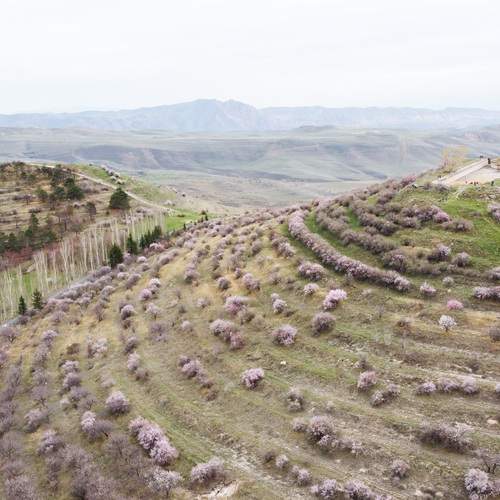 Photo #13433401