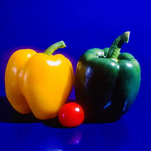 Photo #13433548