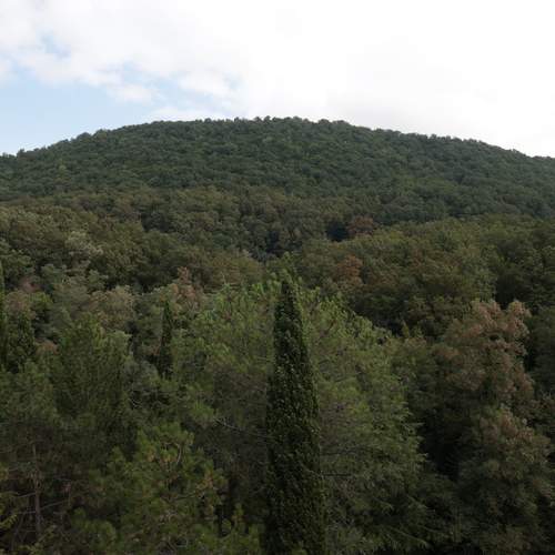 Photo #13433686