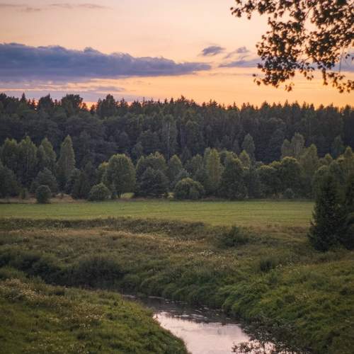 Photo #13433721