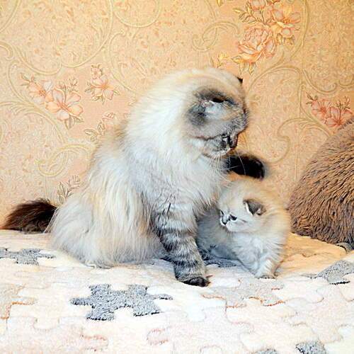 Photo #13433730
