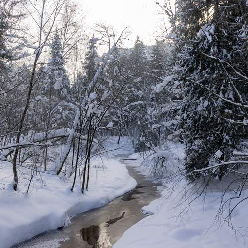Photo #13433974