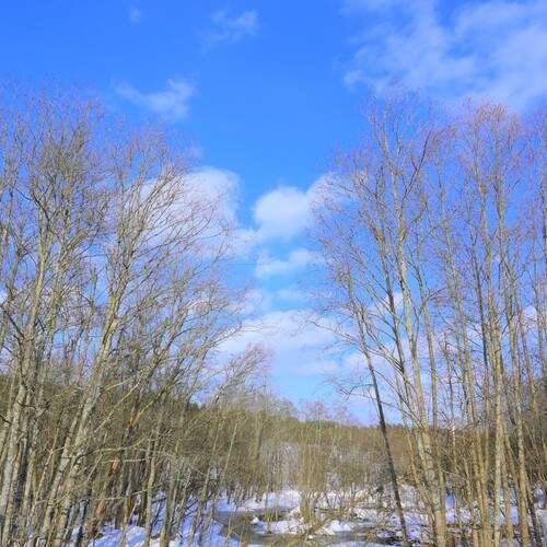 Photo #13434118