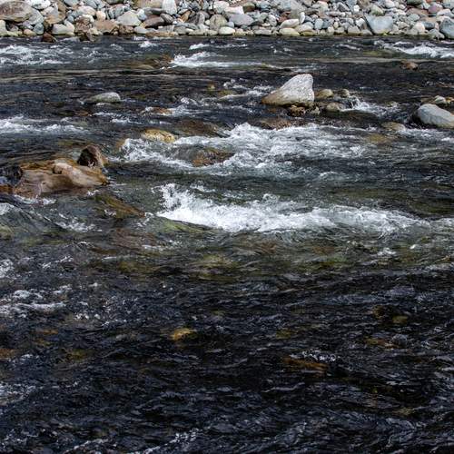 Photo #13434151