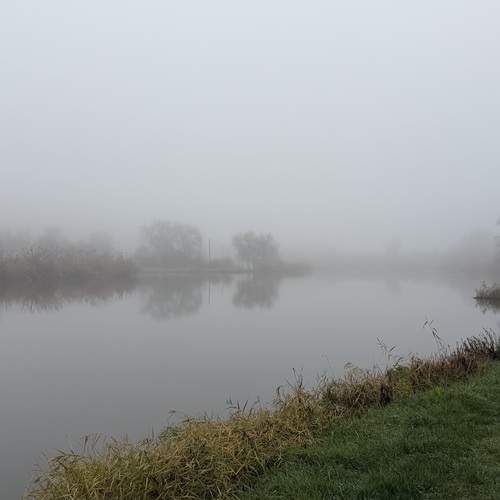 Photo #13434230