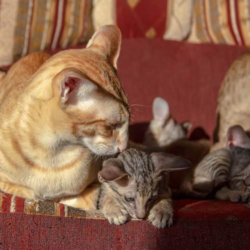 Фотография #13434269