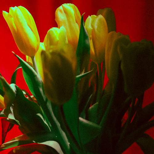 Photo #13434314
