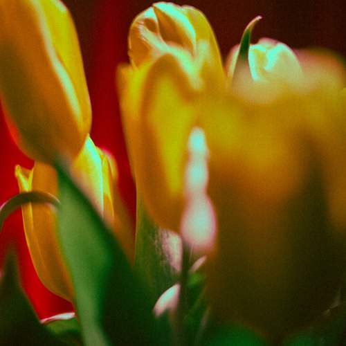 Photo #13434316