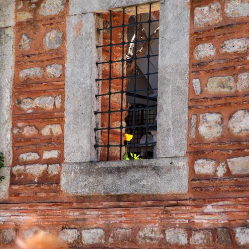 Photo #13434434