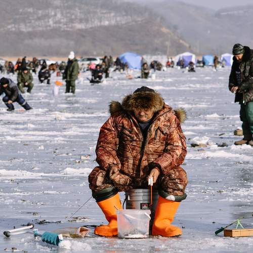 Фотография #13434495