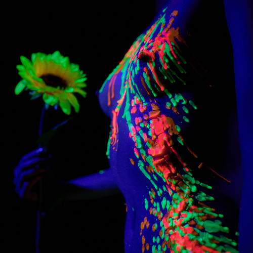 Photo #13434638