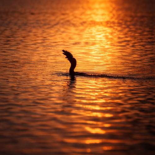 Photo #13434685