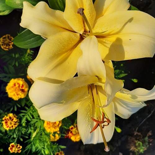 Photo #13435047