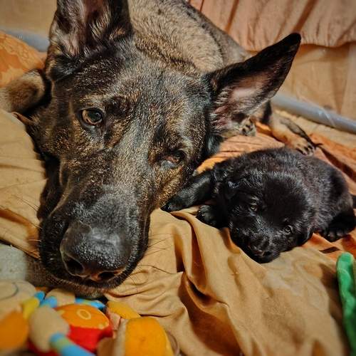 Photo #13435134