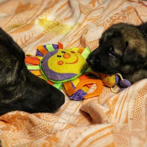 Photo #13435135
