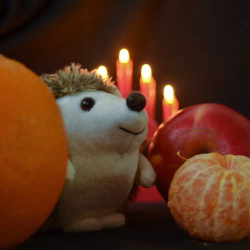 Photo #13435199