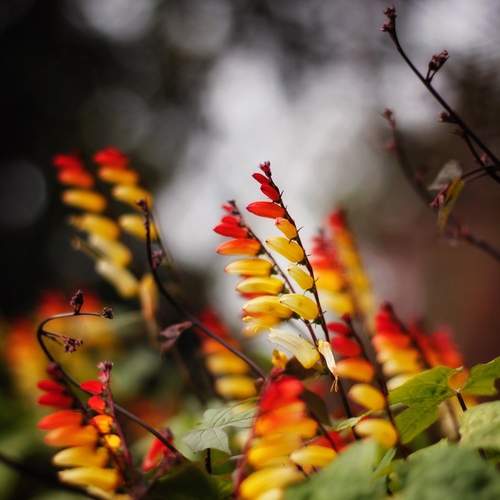 Photo #13435218