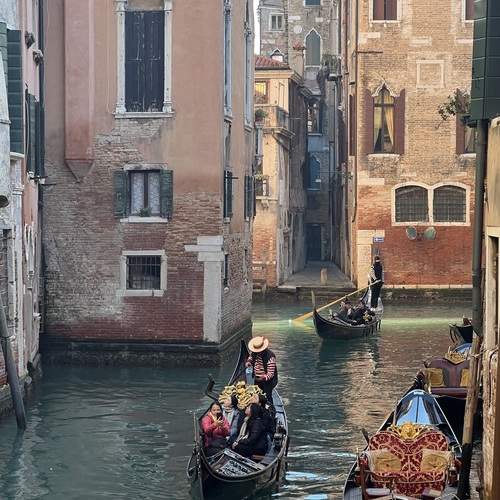Photo #13435450