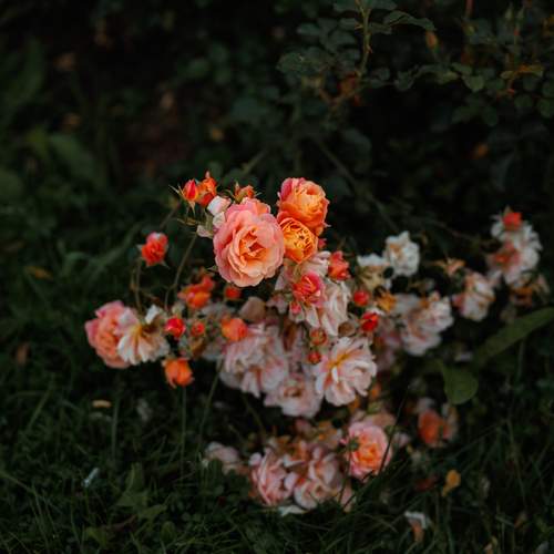 Photo #13435605