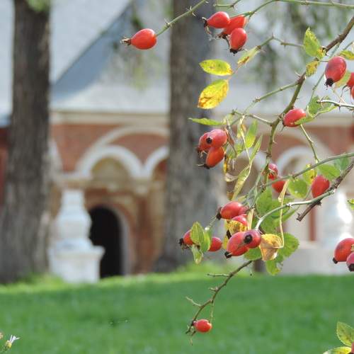 Photo #13435668