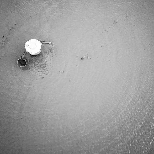 Photo #13435845
