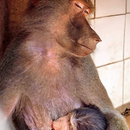 Photo #13435957