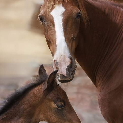 Photo #13435976