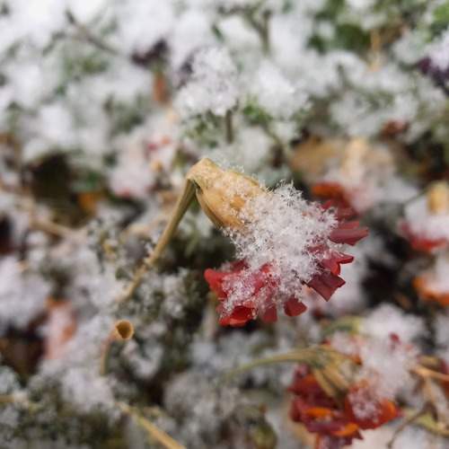 Photo #13435995
