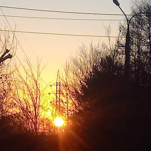 Photo #13436007