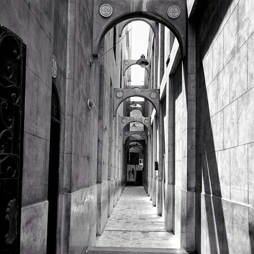 Фотография #13436130