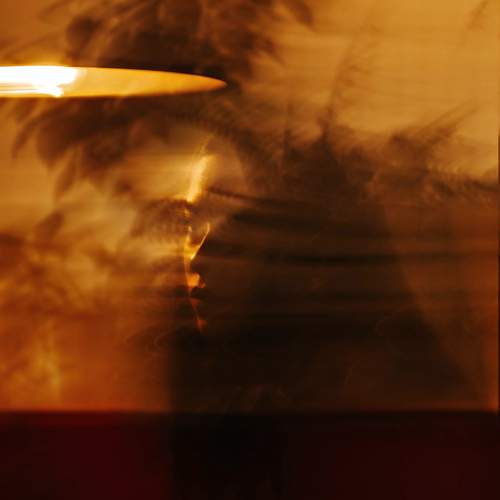 Photo #13436230