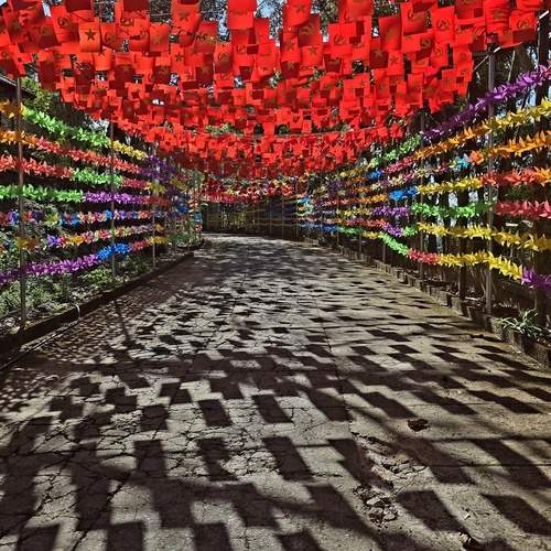 Фотография #13436254