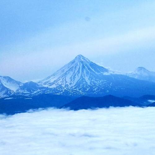 Photo #13436474