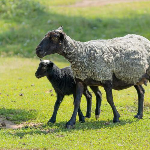 Фотография #13436551