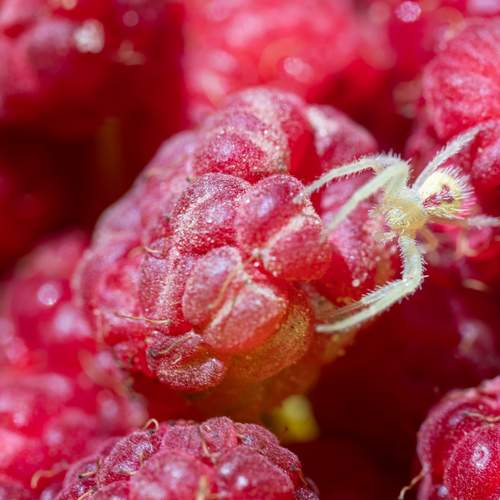 Фотография #13436604