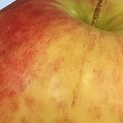 Photo #13436657
