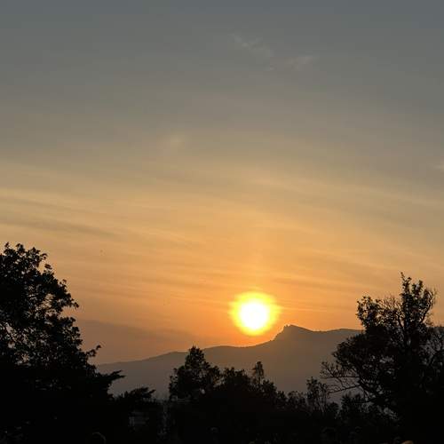 Photo #13436658
