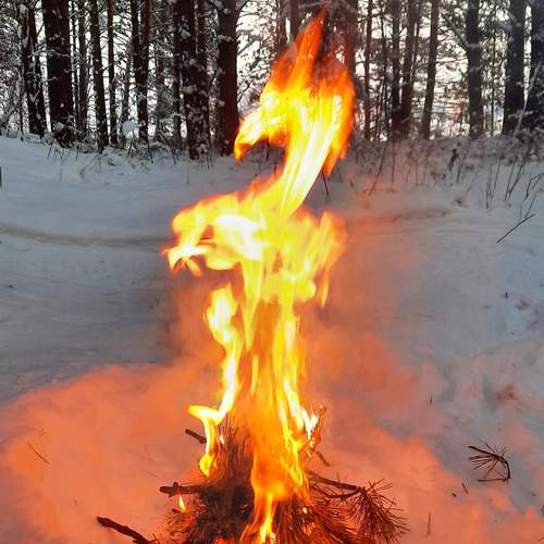 Photo #13436781