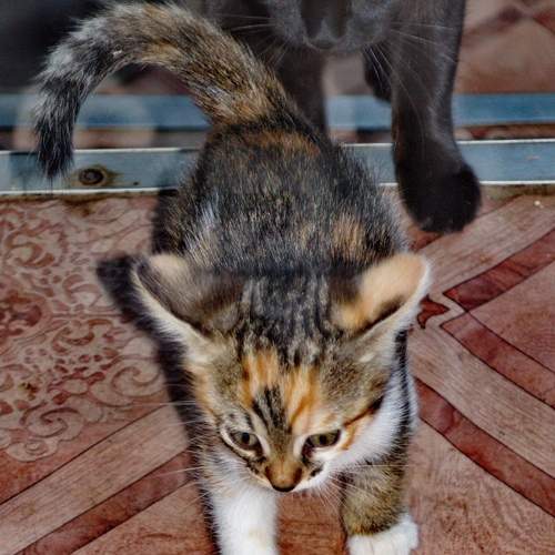 Photo #13436794