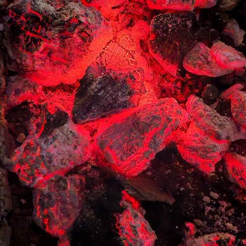 Photo #13437023