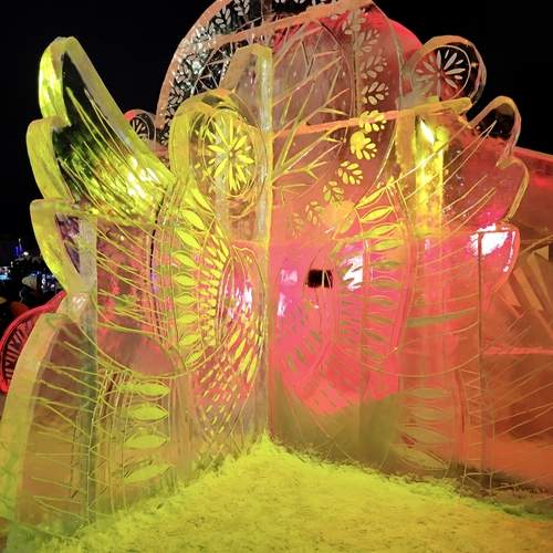 Photo #13437024