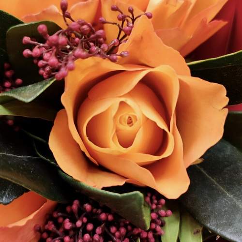Photo #13437026